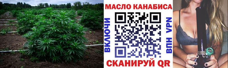 нарко площадка наркотические препараты  где продают наркотики  мега tor  Сясьстрой  ТГК гашишное масло 
